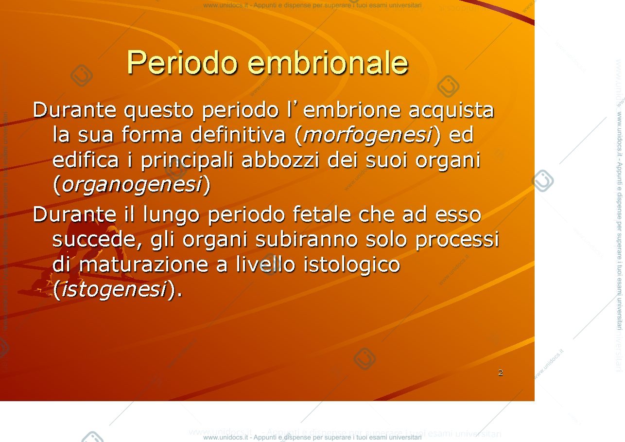 Anteprima pagina 2 — Periodi embrionale e fetale