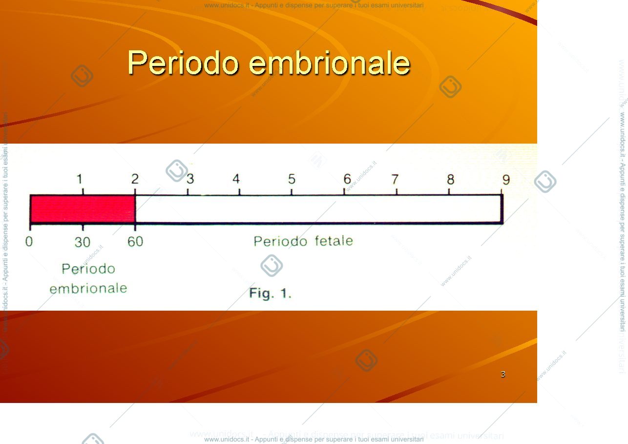 Anteprima pagina 3 — Periodi embrionale e fetale