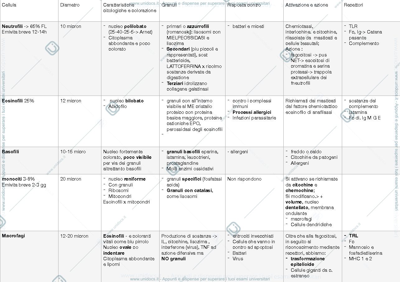 Anteprima pagina 1 — Schemi istologia