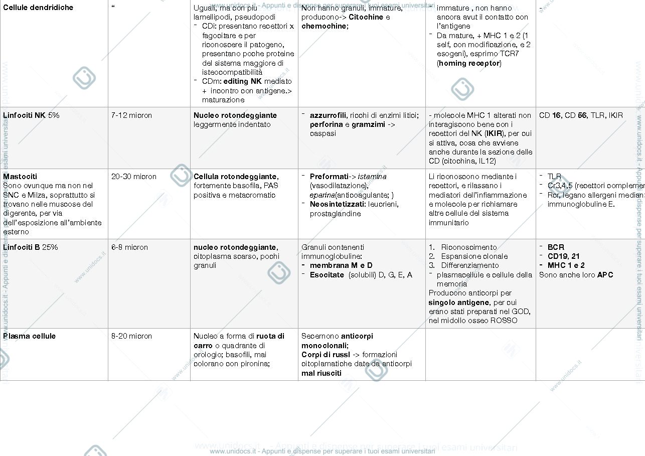 Anteprima pagina 2 — Schemi istologia