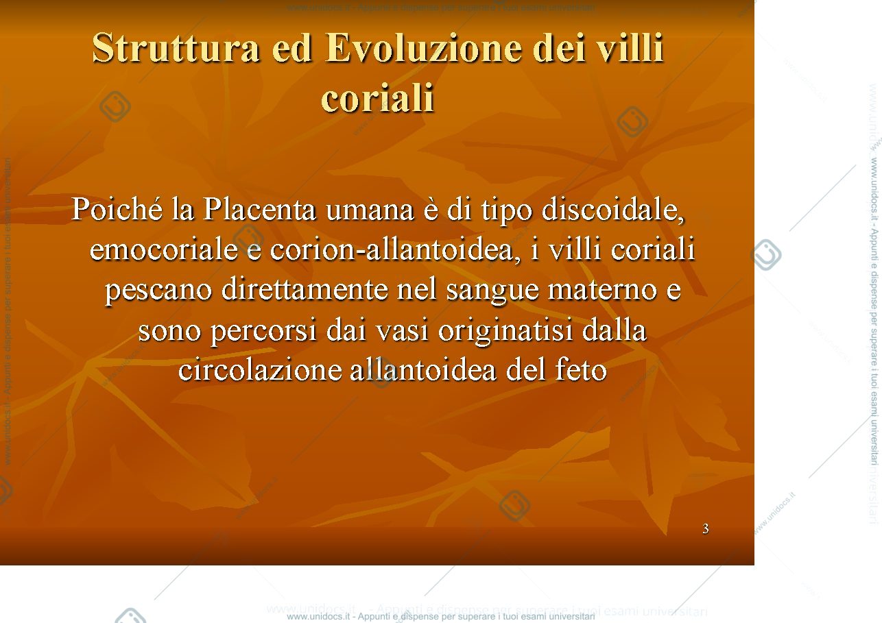 Anteprima pagina 3 — Annessi Embrionali