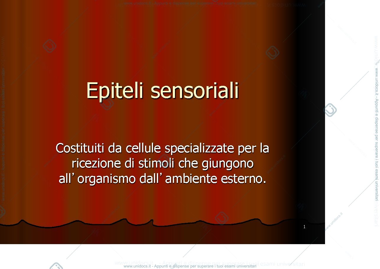 Anteprima pagina 1 — Epiteli sensoriali