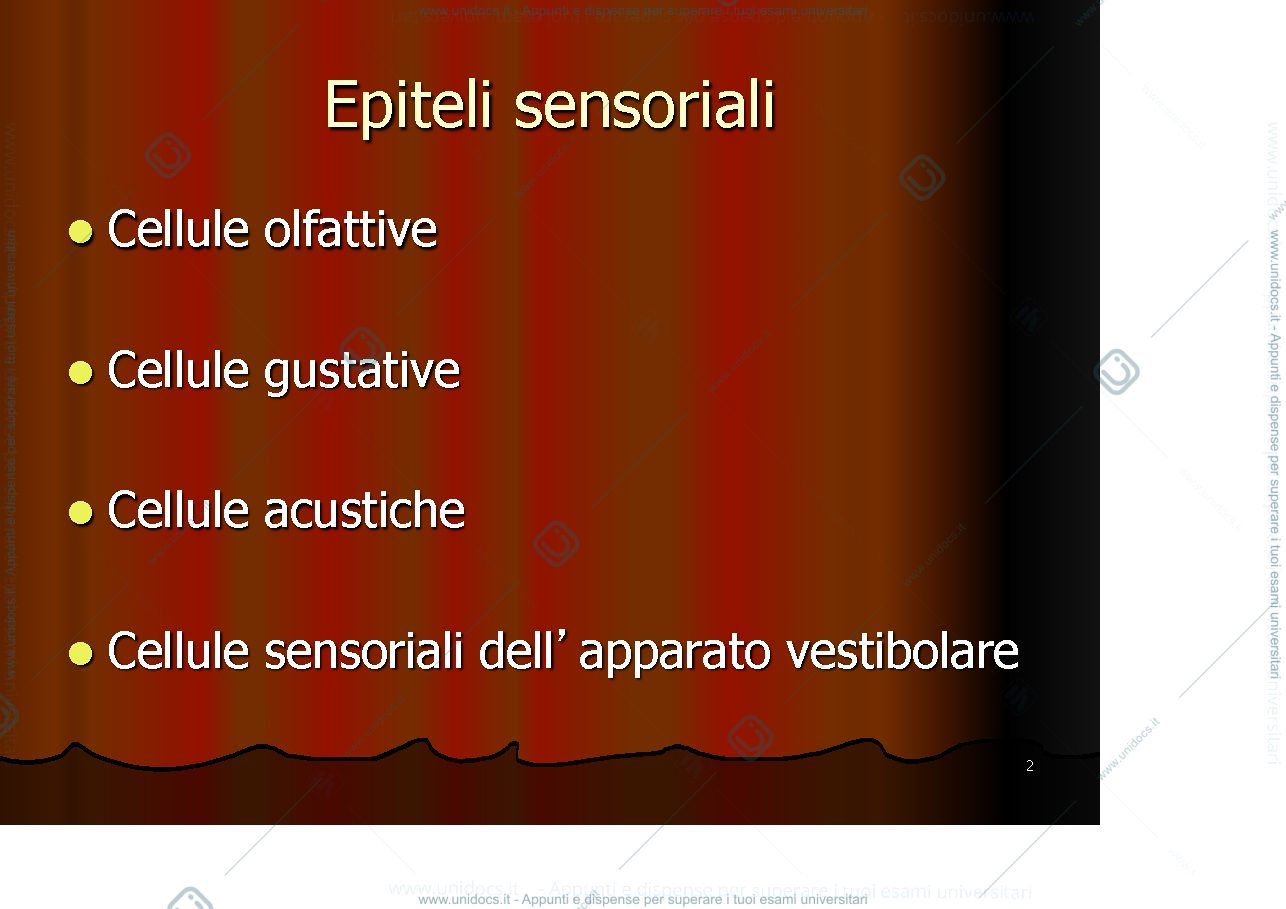Anteprima pagina 2 — Epiteli sensoriali