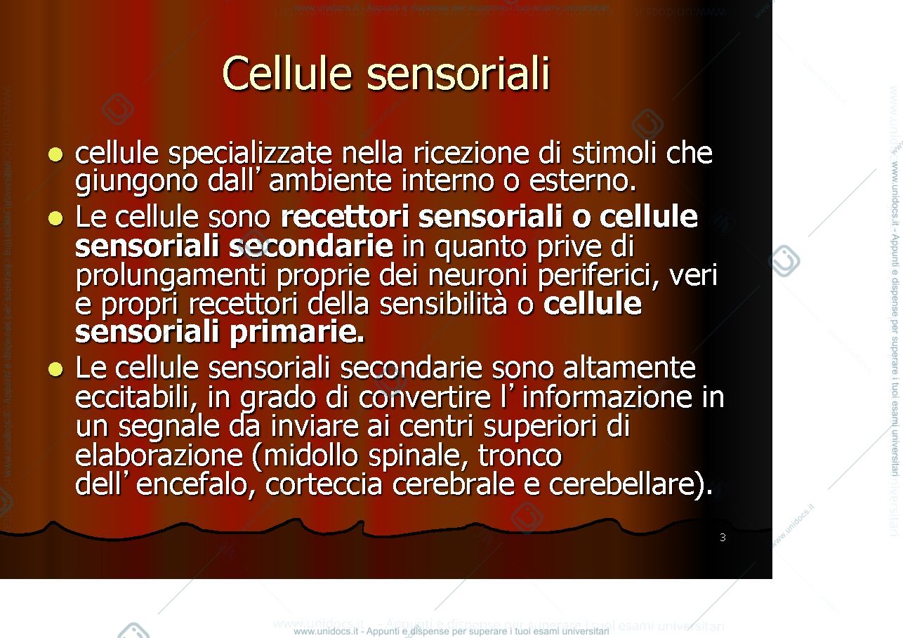 Anteprima pagina 3 — Epiteli sensoriali