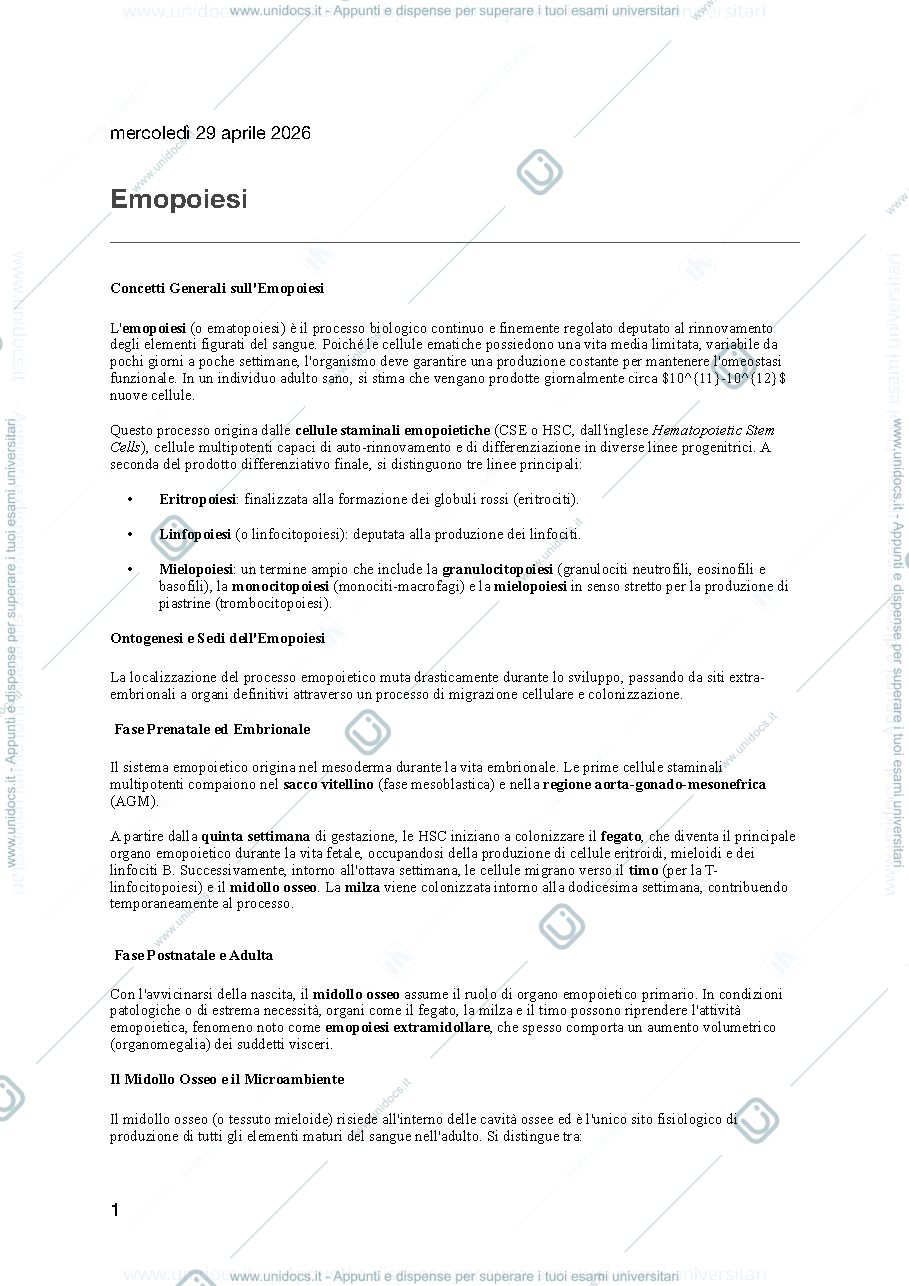 Anteprima pagina 1 — emopoiesi
