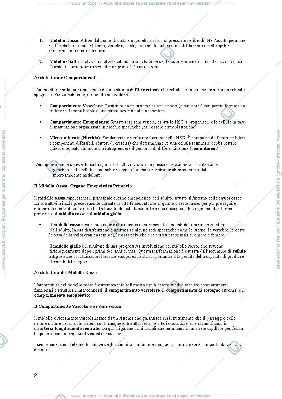 Anteprima pagina 2 — emopoiesi