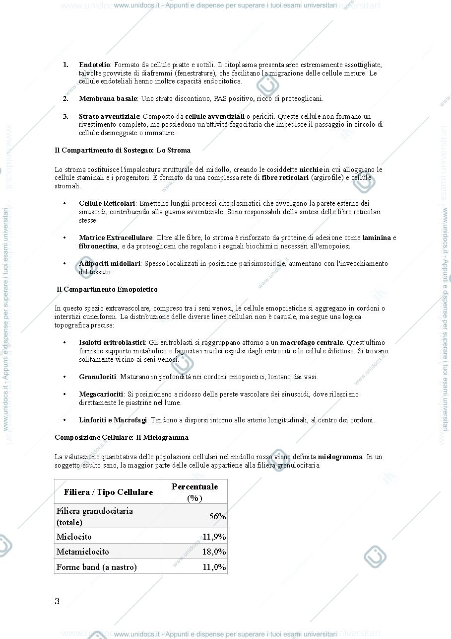 Anteprima pagina 3 — emopoiesi