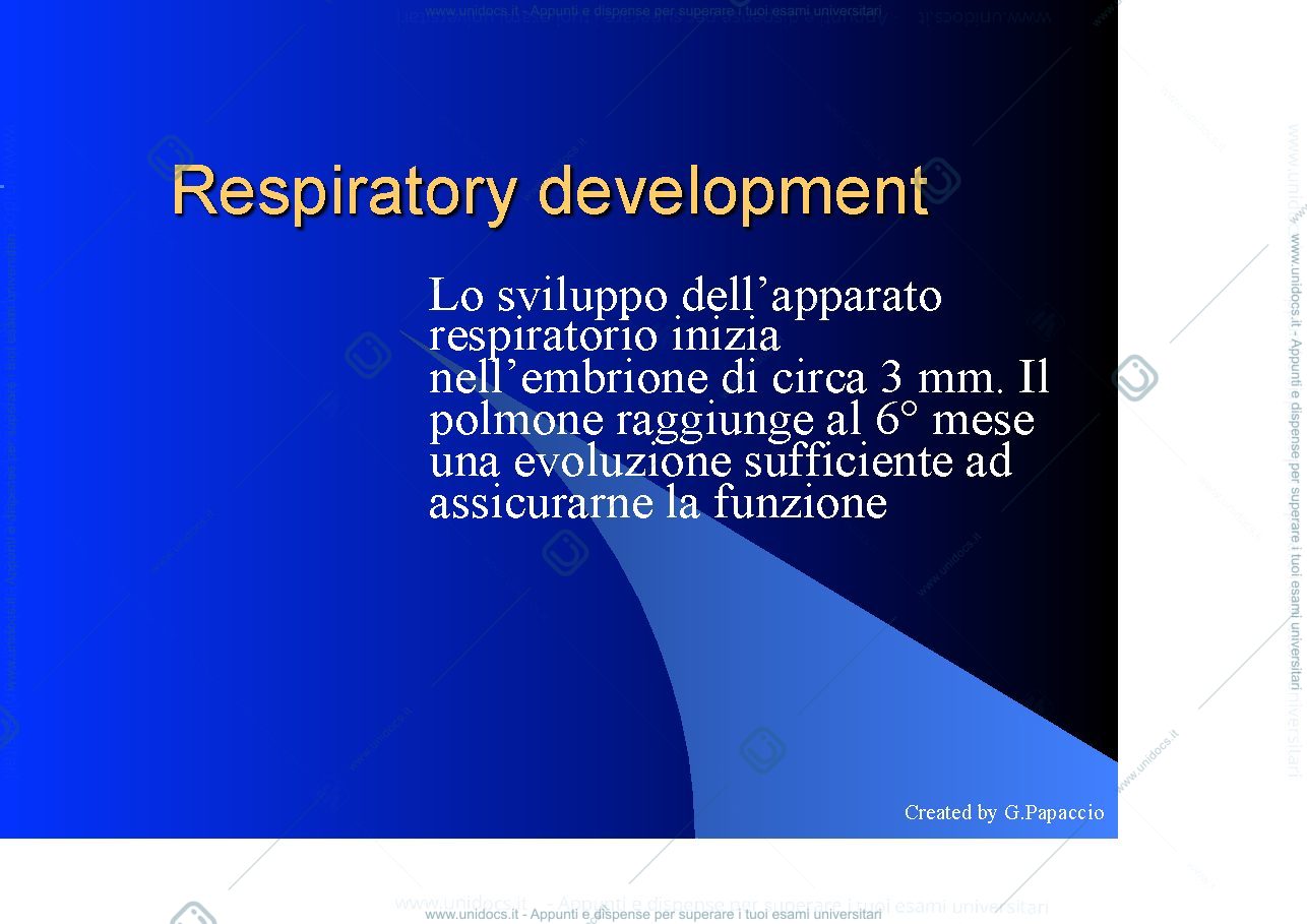 Anteprima pagina 1 — Respiratory development