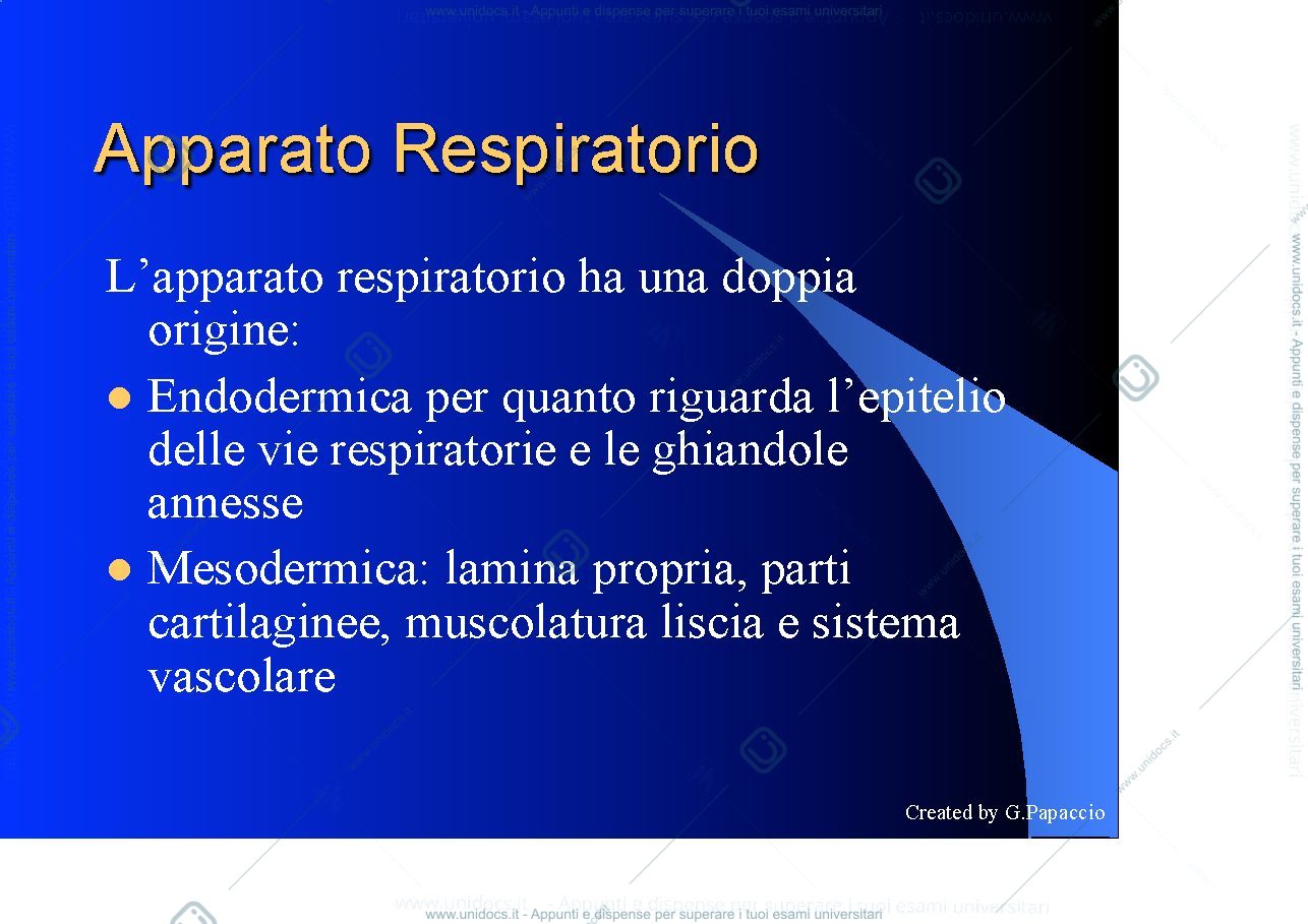 Anteprima pagina 2 — Respiratory development