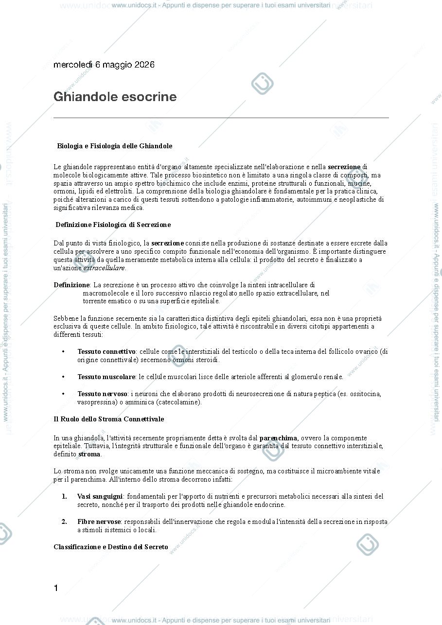 Anteprima pagina 1 — ghiandole esocrine