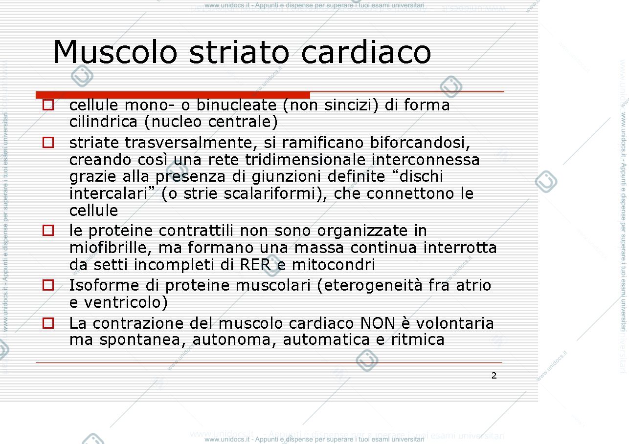 Anteprima pagina 2 — Muscolo cardiaco e liscio