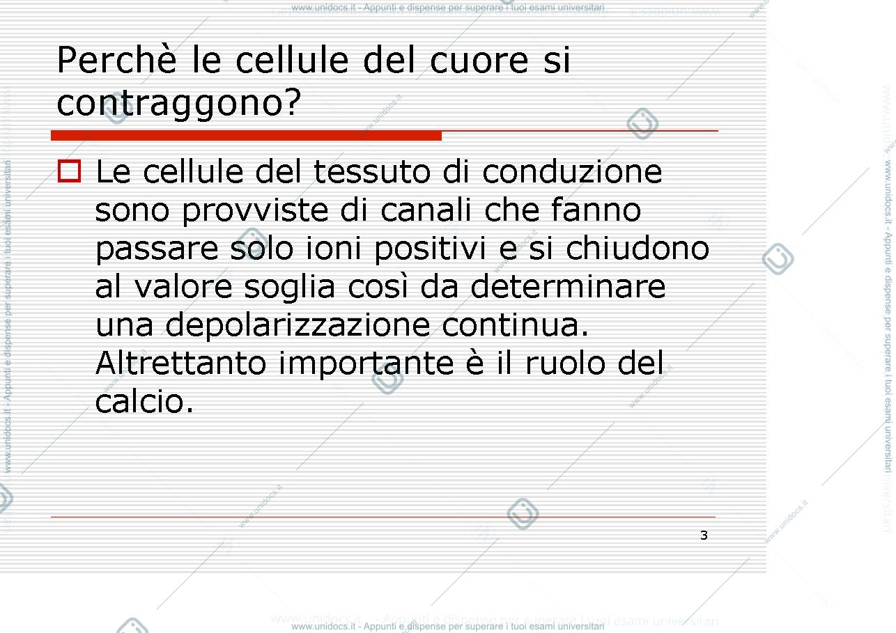 Anteprima pagina 3 — Muscolo cardiaco e liscio