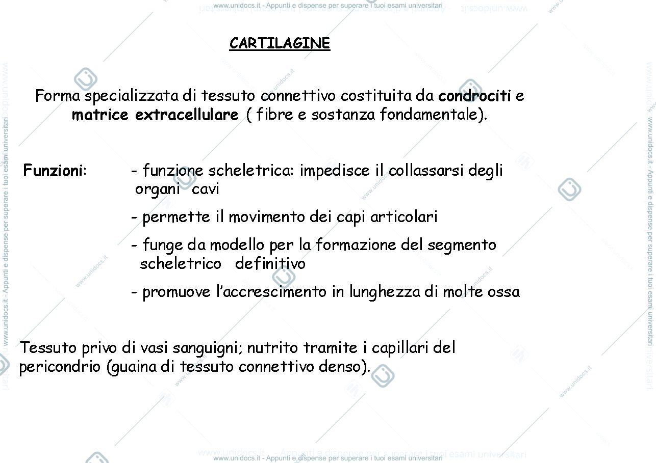Anteprima pagina 1 — tessuto cartilagineo