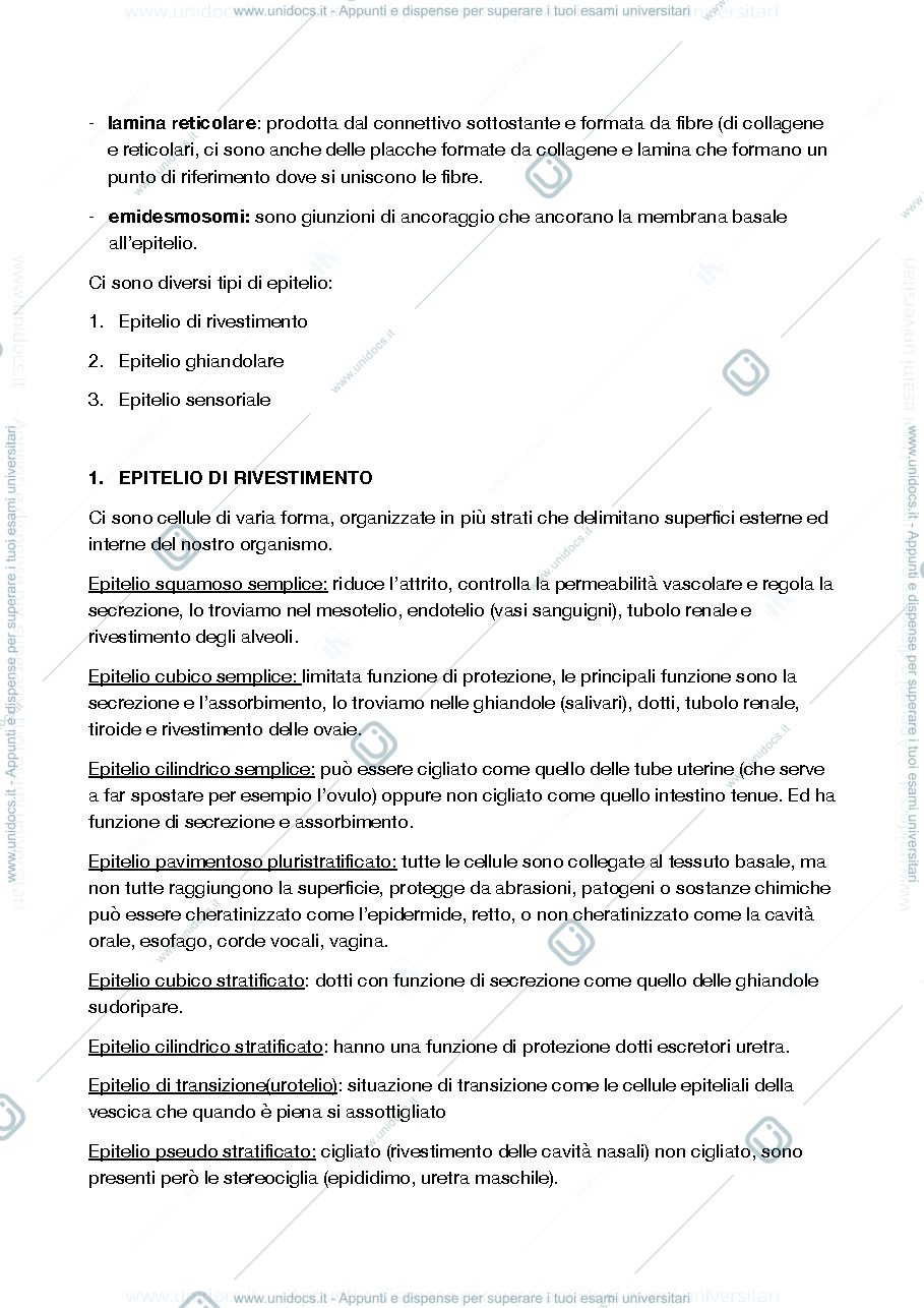 Anteprima pagina 3 — istologia 