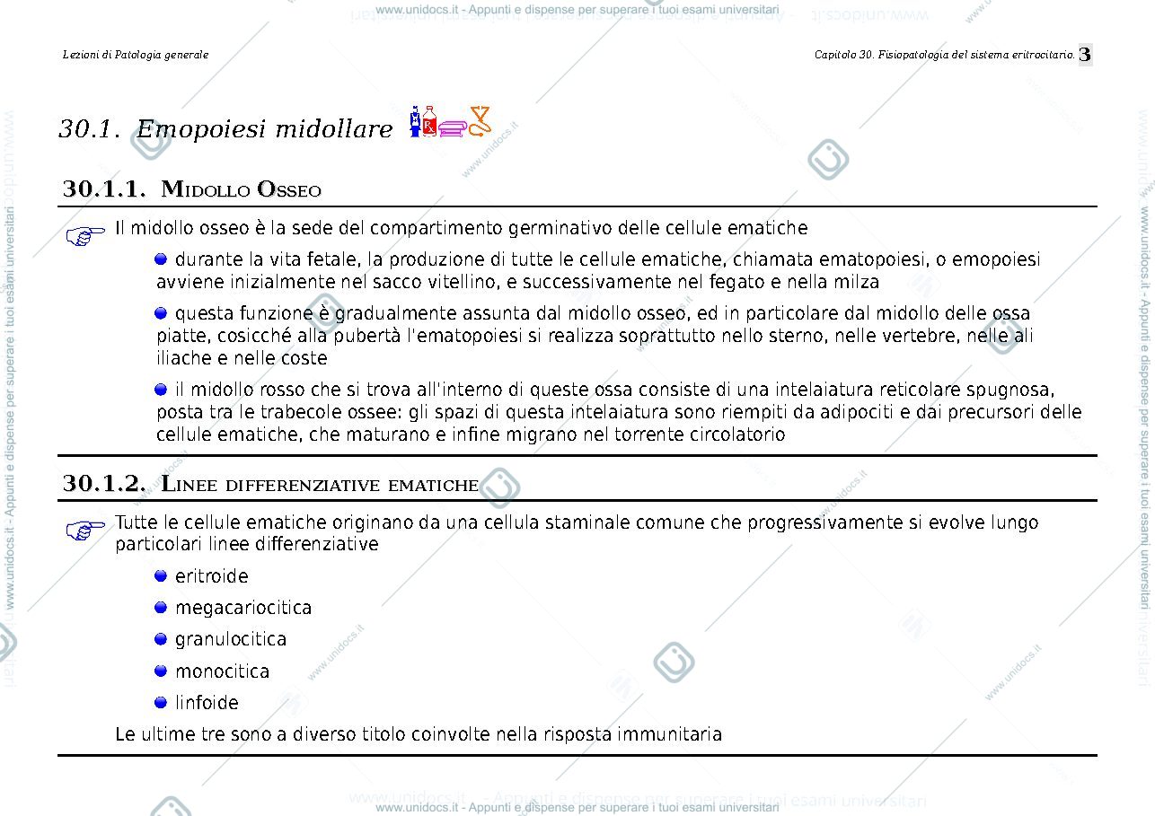 Anteprima pagina 3 — eritrociti