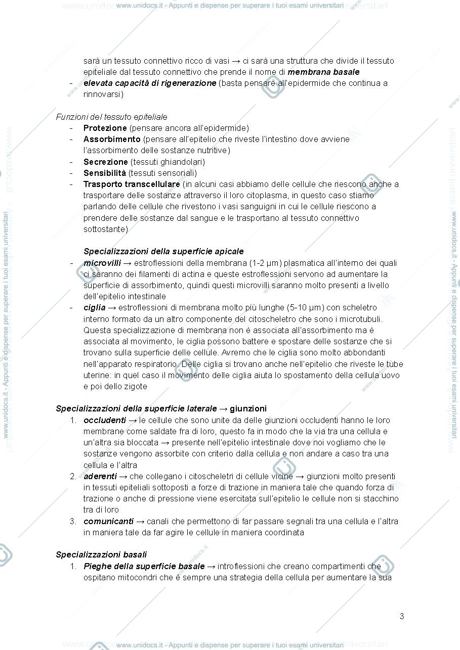 Anteprima pagina 3 — Istologia