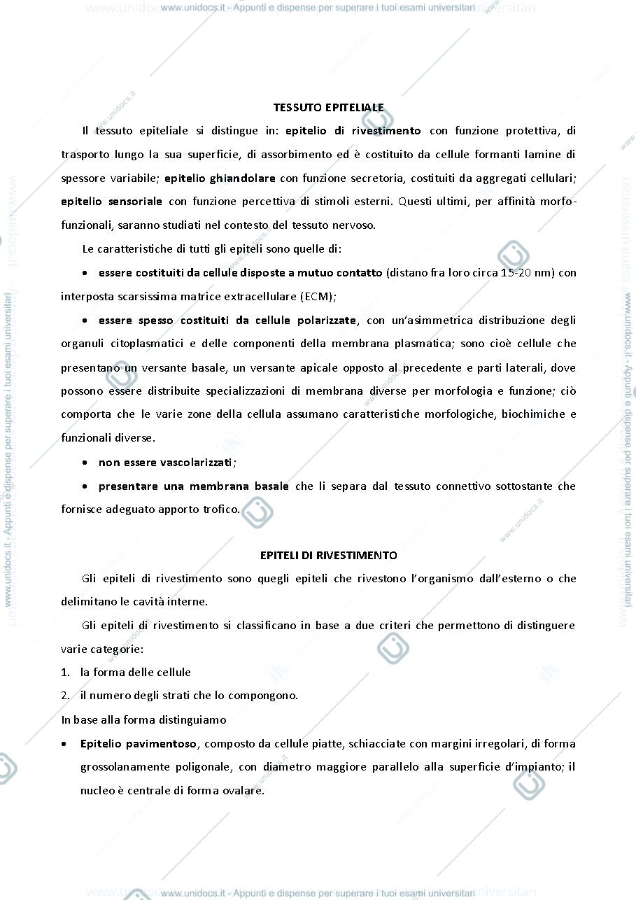 Anteprima pagina 1 — ISTOLOGIA 