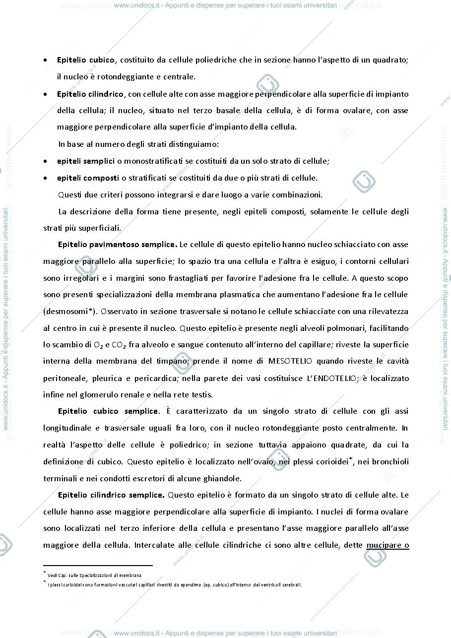 Anteprima pagina 2 — ISTOLOGIA 