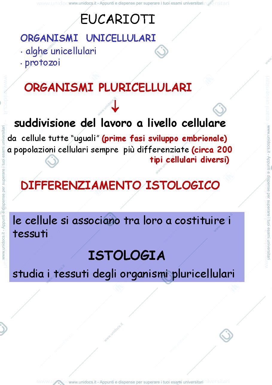 Anteprima pagina 1 — i tessuti