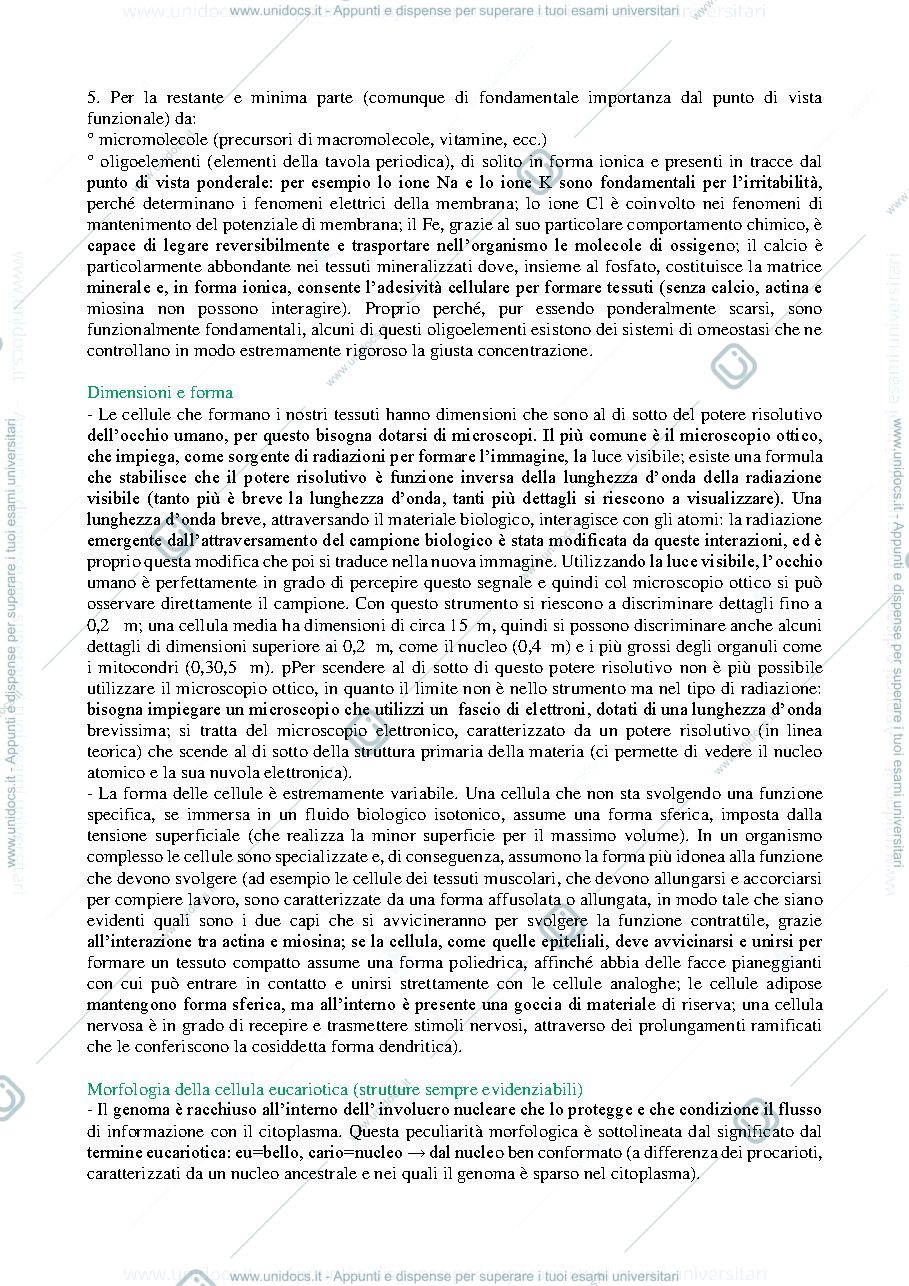 Anteprima pagina 2 — ISTOLOGIA (citologia)
