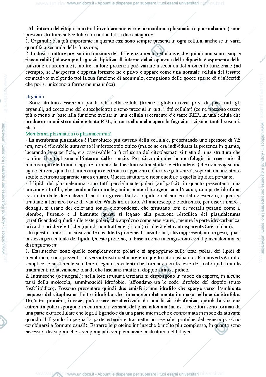Anteprima pagina 3 — ISTOLOGIA (citologia)