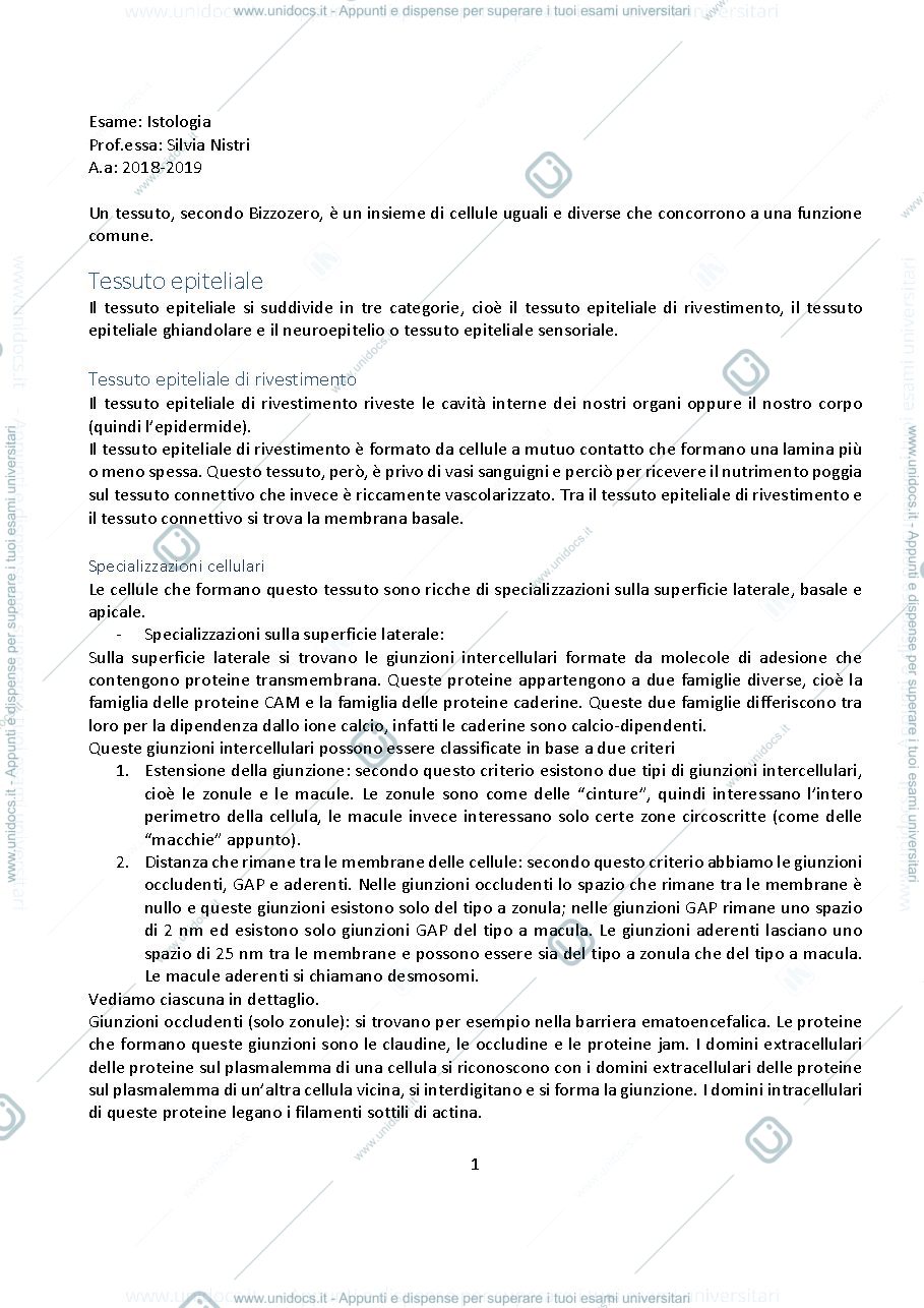 Anteprima pagina 1 — ISTOLOGIA
