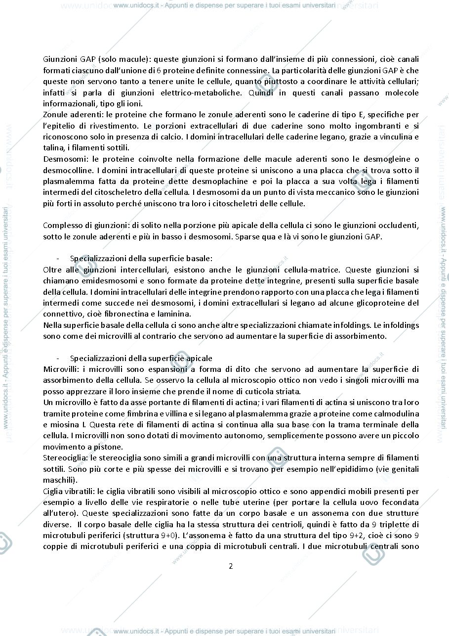 Anteprima pagina 2 — ISTOLOGIA