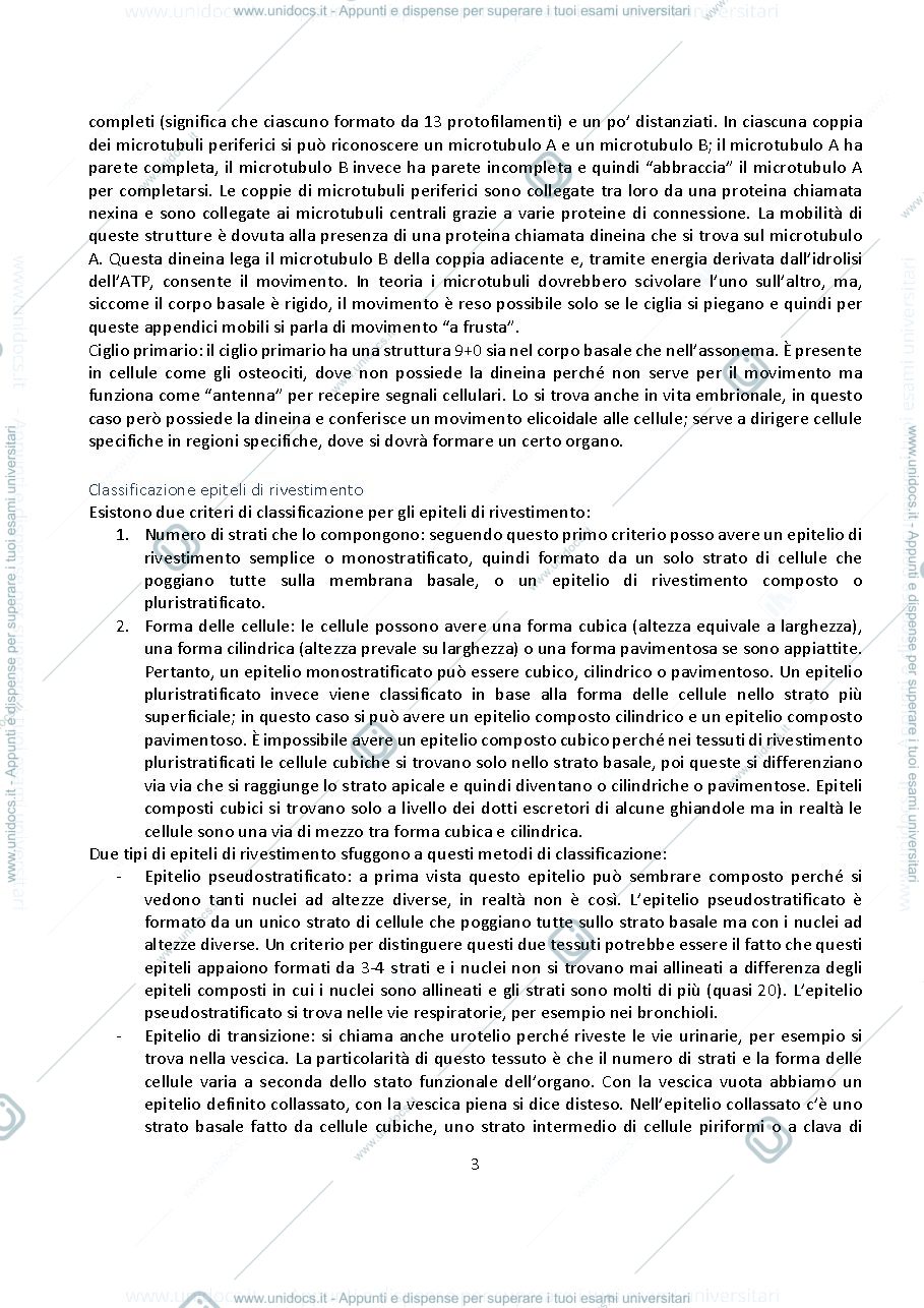 Anteprima pagina 3 — ISTOLOGIA