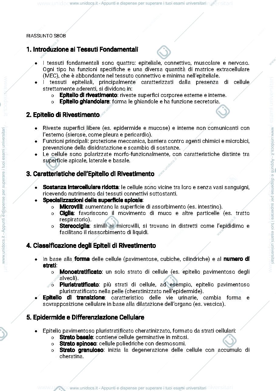 Anteprima pagina 1 — Epidermide