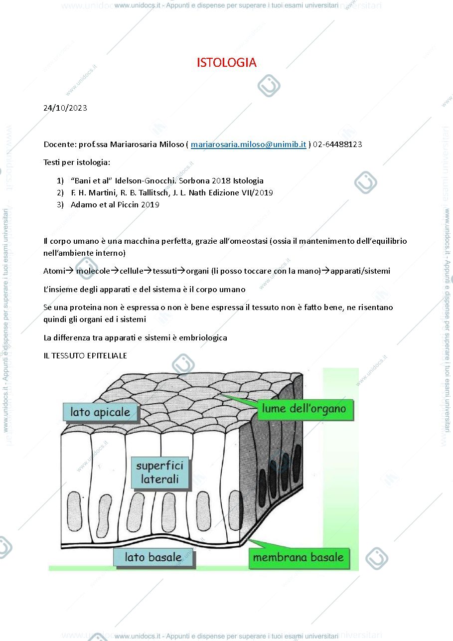 Anteprima pagina 1 — istologia