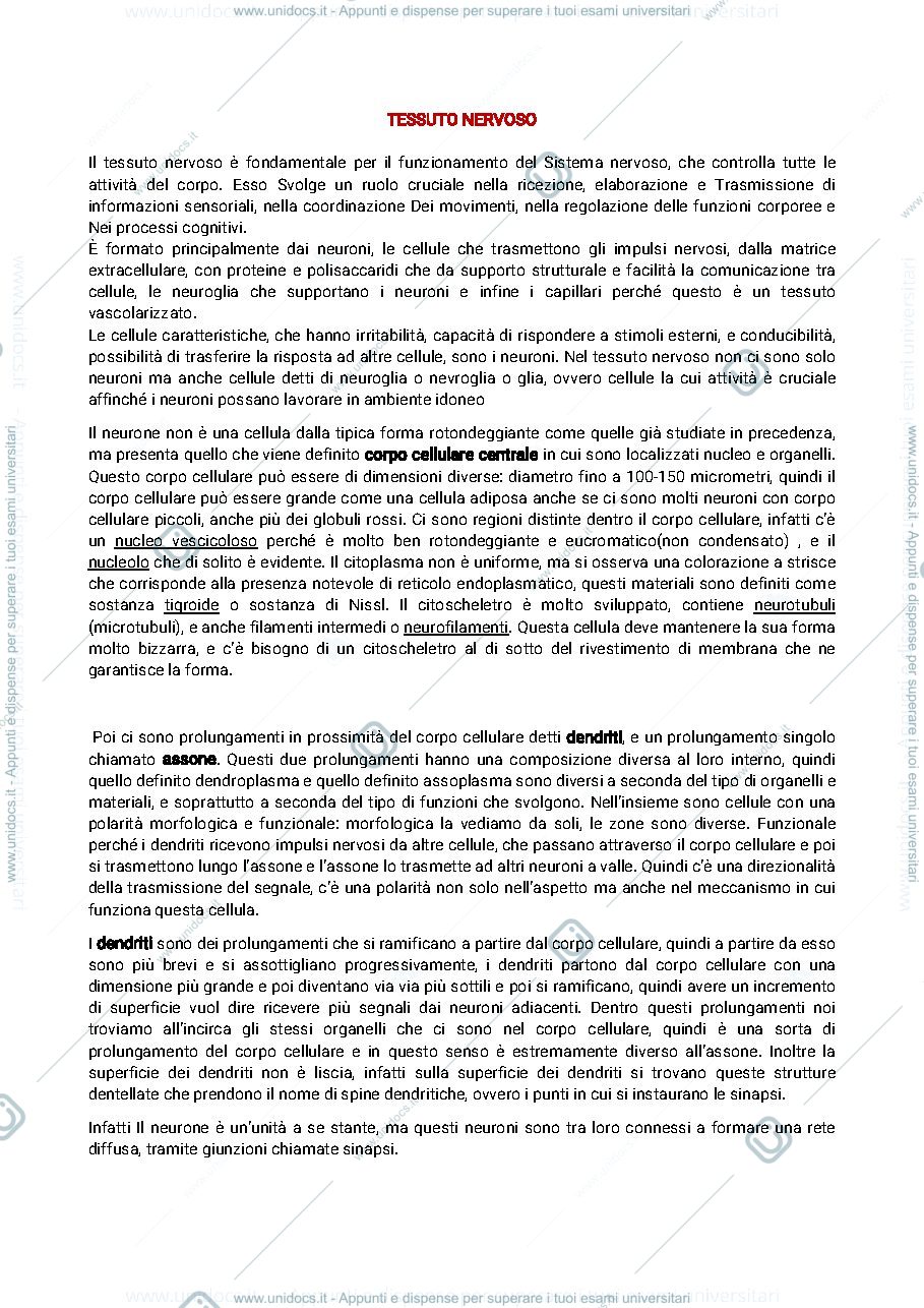 Anteprima pagina 1 — Tessuto nervoso