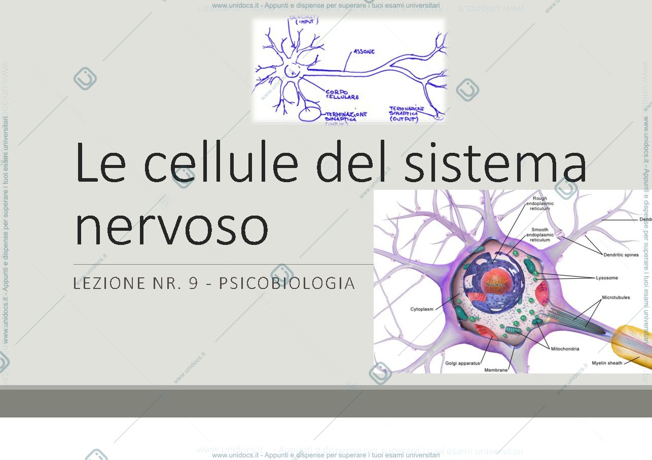 Anteprima pagina 1 — Le cellule nervose