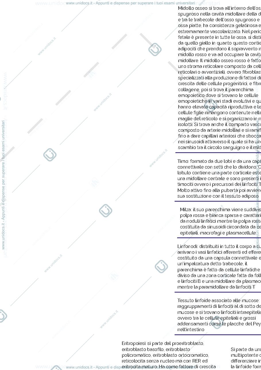 Anteprima pagina 1 — Sangue
