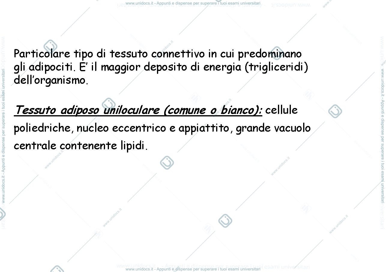 Anteprima pagina 2 — tessuto adiposo 