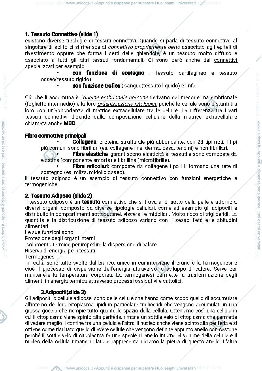 Anteprima pagina 1 — Tessuto adiposo