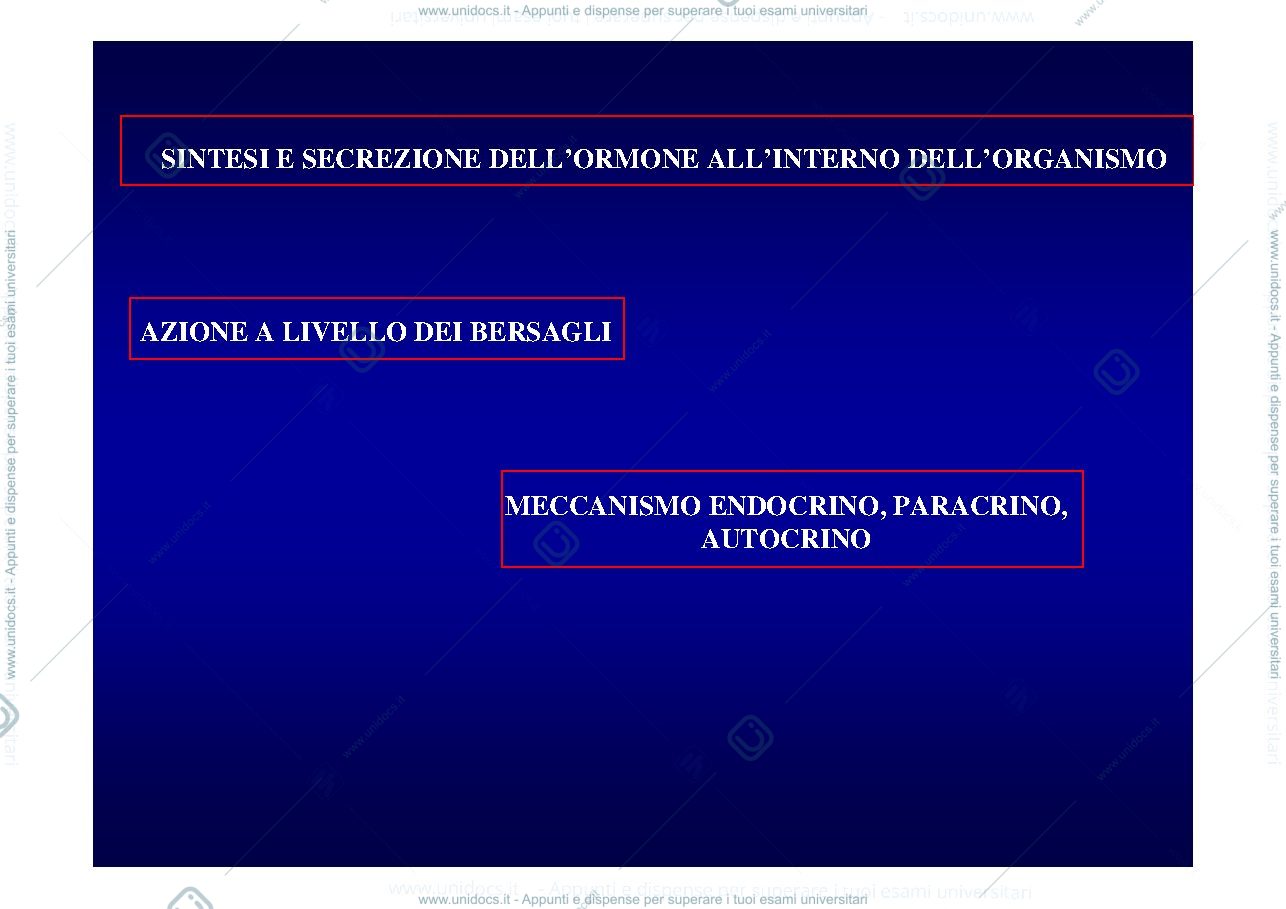 Anteprima pagina 2 — sistema endocrino
