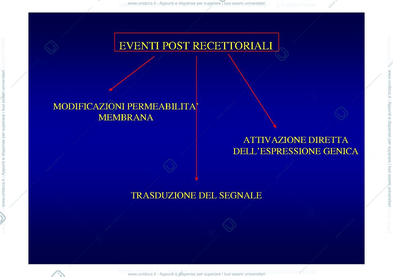 Anteprima pagina 3 — sistema endocrino