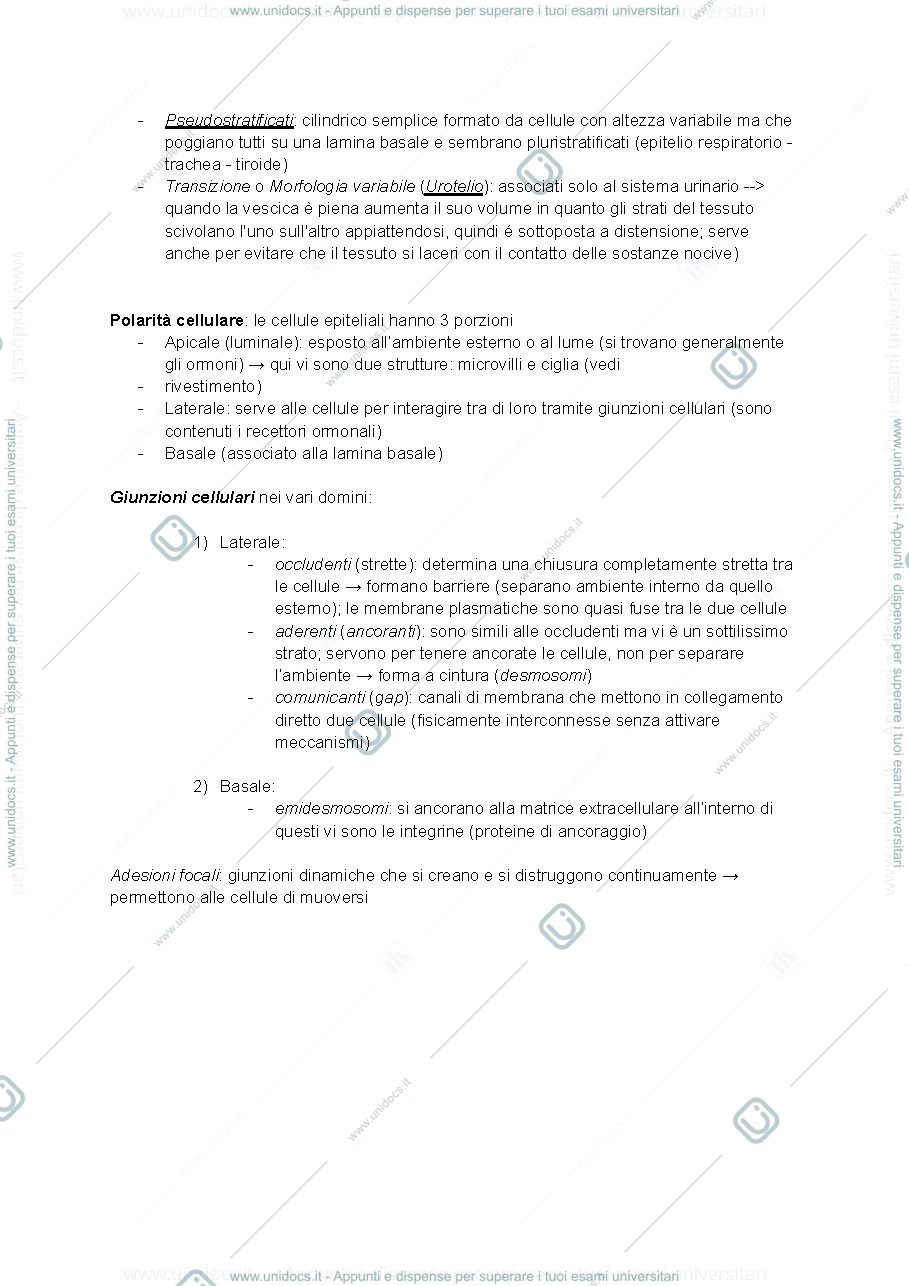 Anteprima pagina 3 — ISTOLOGIA