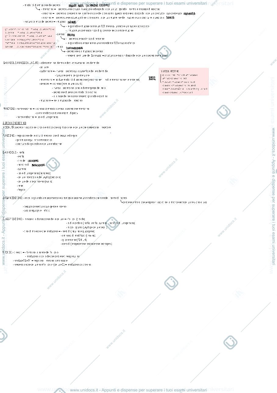 Anteprima pagina 3 — Istologia, canale B