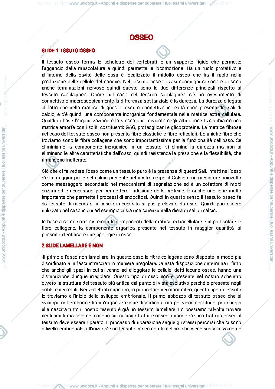 Anteprima pagina 1 — Tessuto osseo