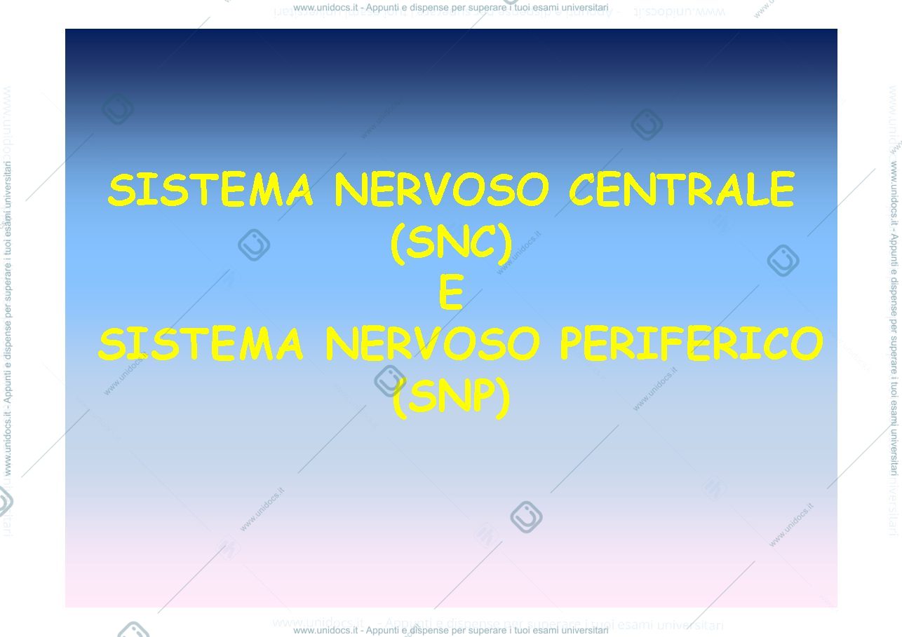 Anteprima pagina 1 — SISTEMA NERVOSO