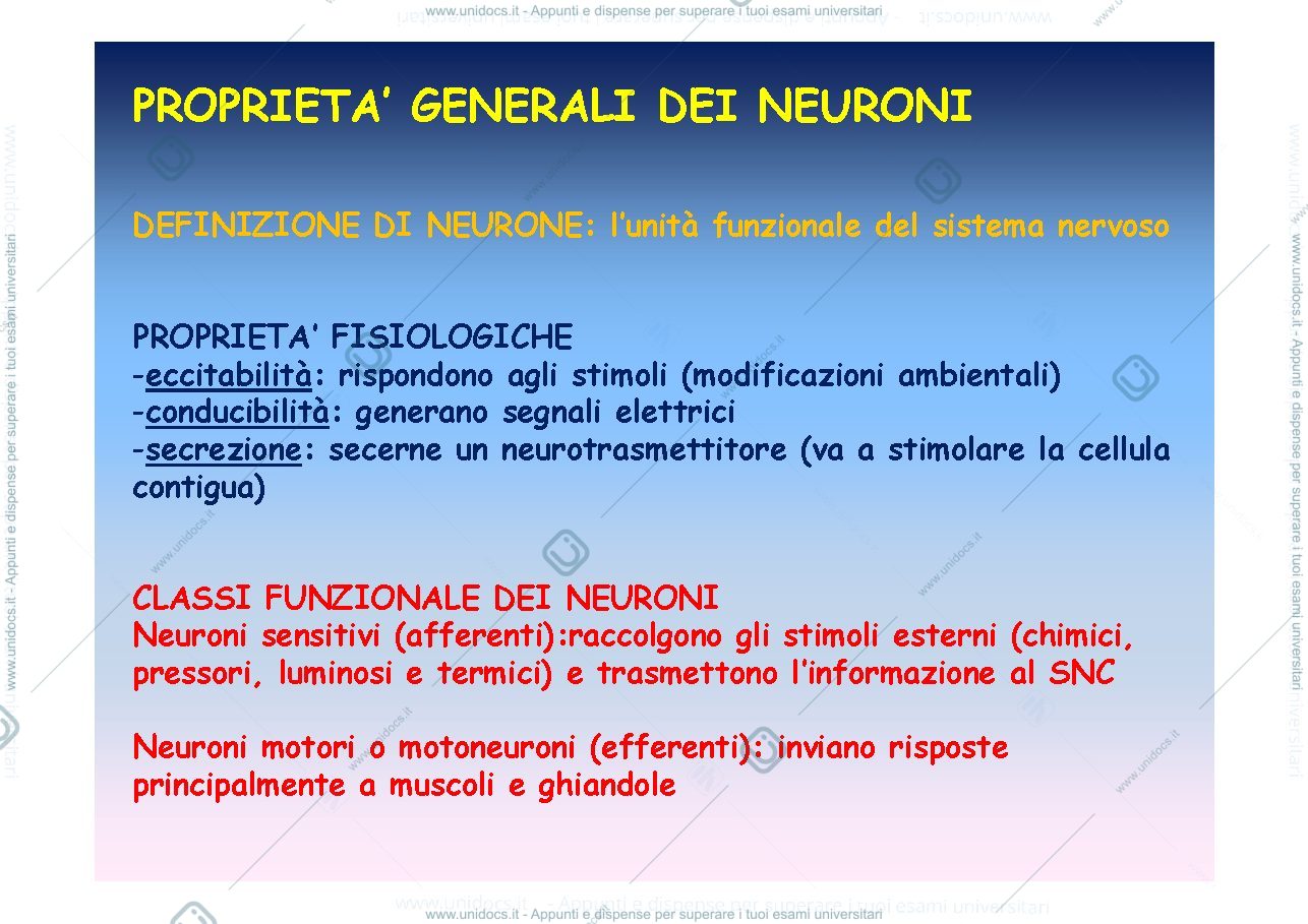 Anteprima pagina 4 — SISTEMA NERVOSO