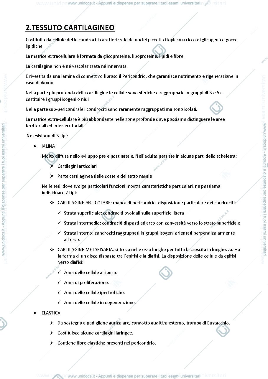 Anteprima pagina 2 — Istologia 22