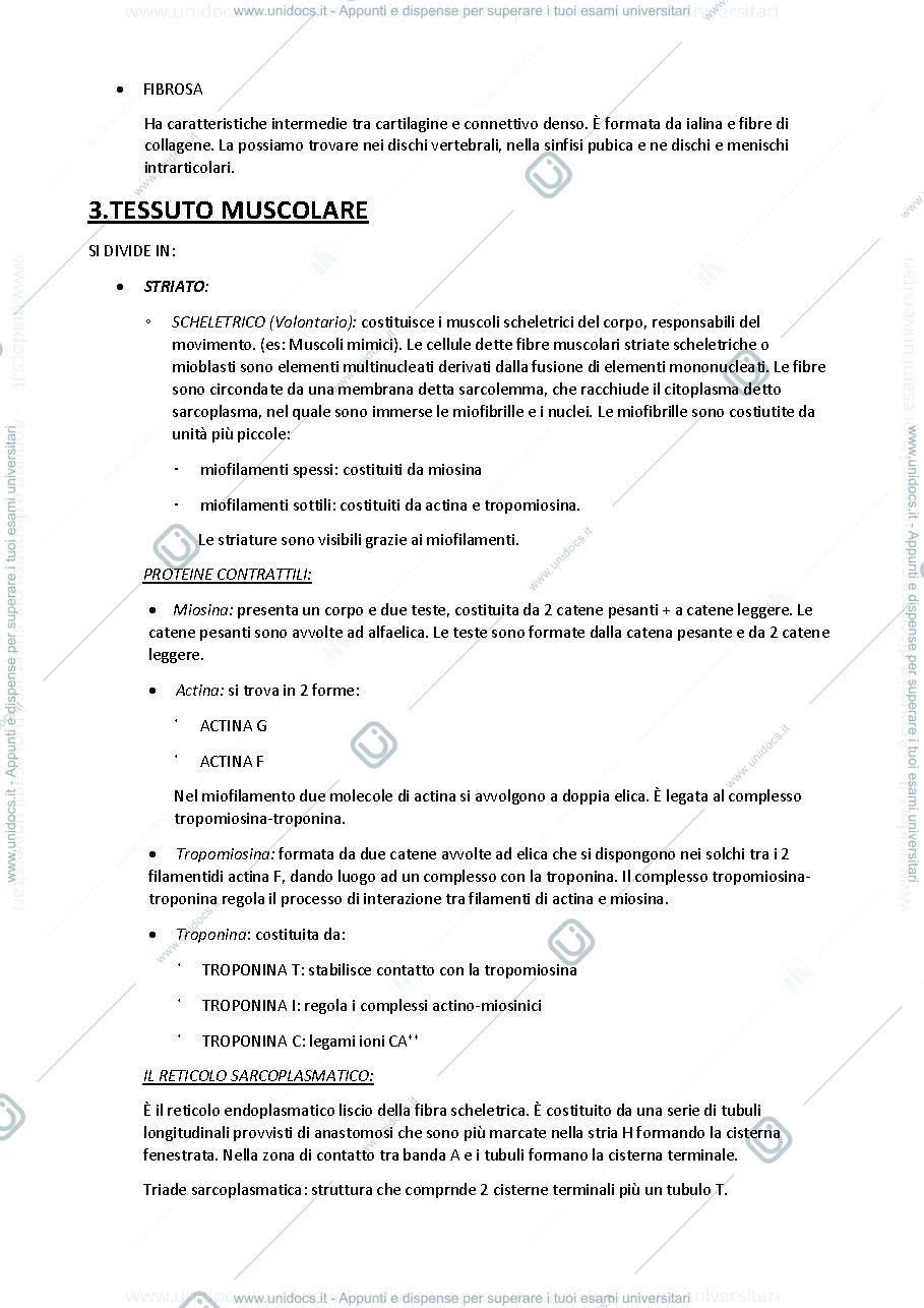 Anteprima pagina 3 — Istologia 22