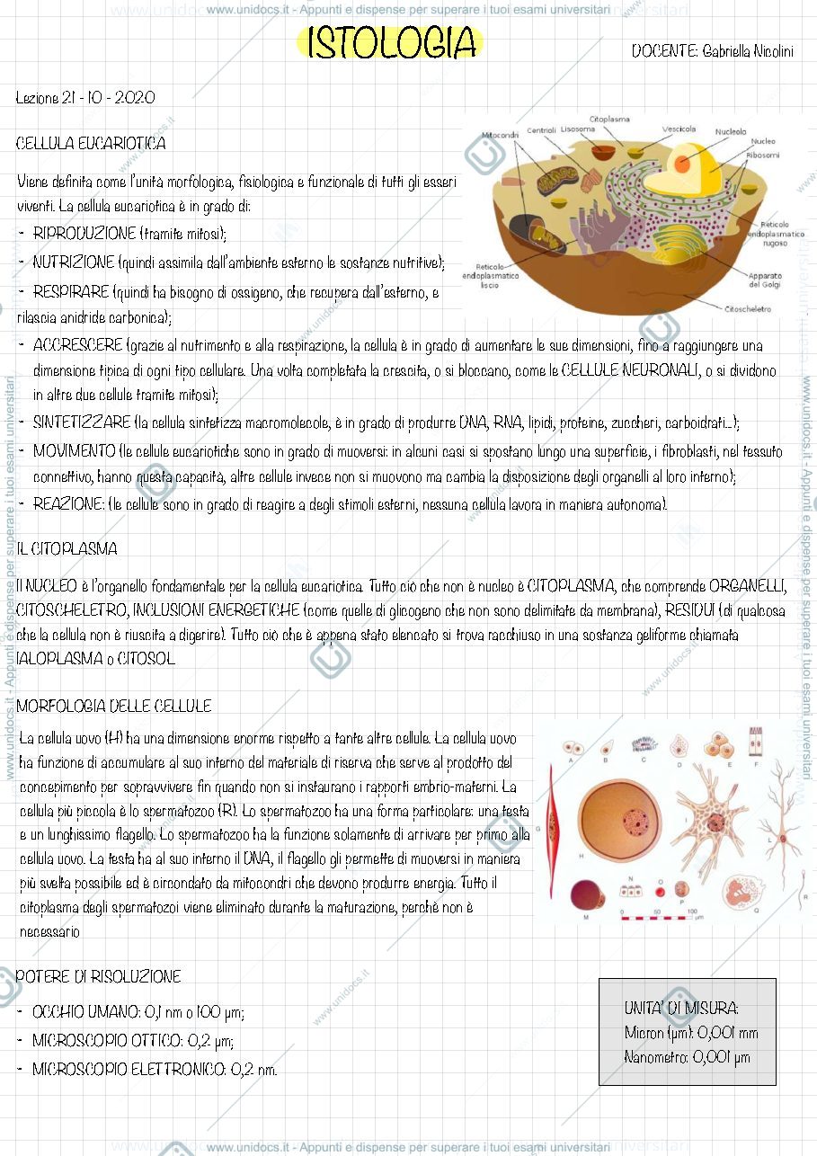 Anteprima pagina 1 — Dispensa di istologia