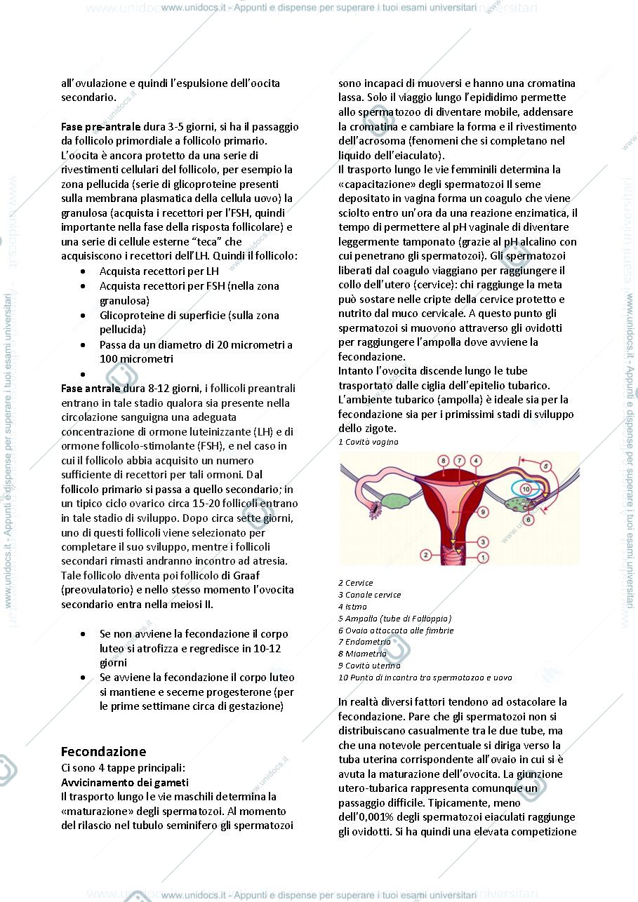 Anteprima pagina 3 — istologia e embriologia