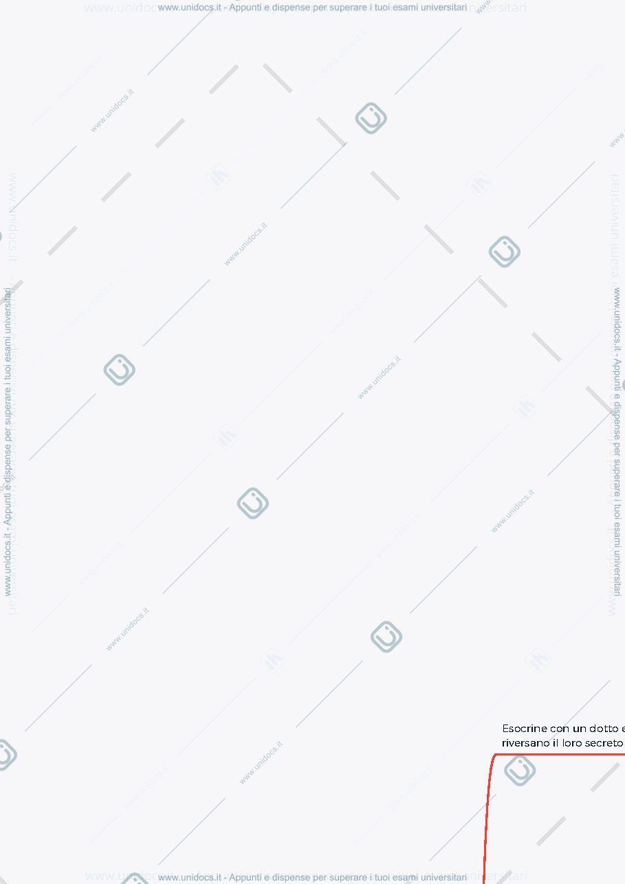 Anteprima pagina 1 — Tessuto ghiandolare