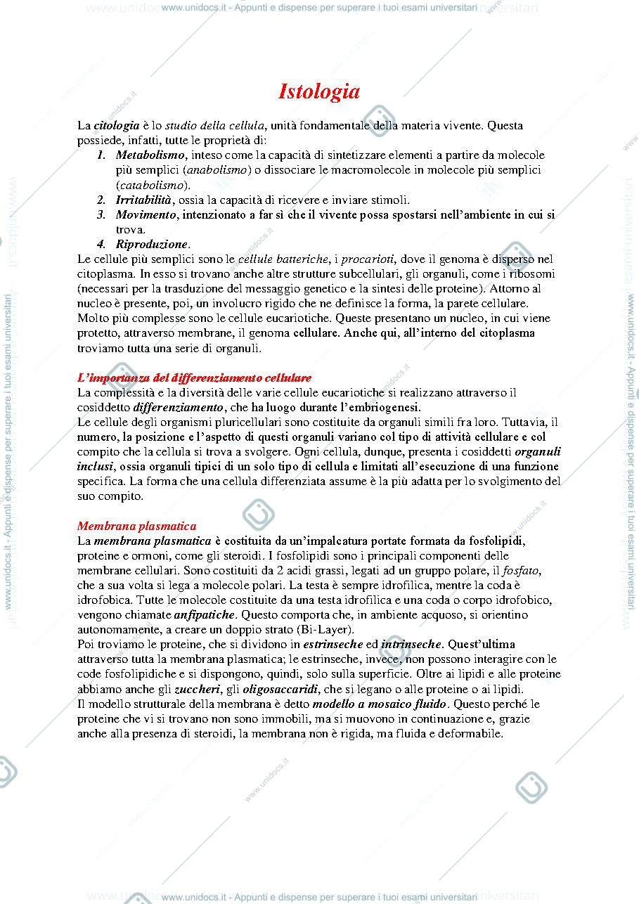 Anteprima pagina 1 — Istologia 