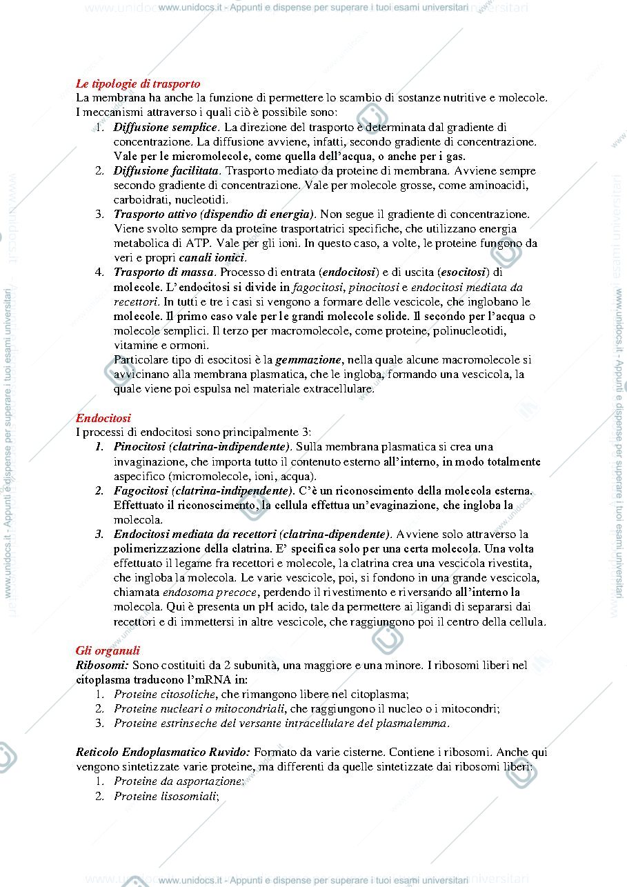 Anteprima pagina 2 — Istologia 