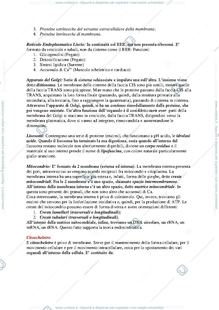 Anteprima pagina 3 — Istologia 
